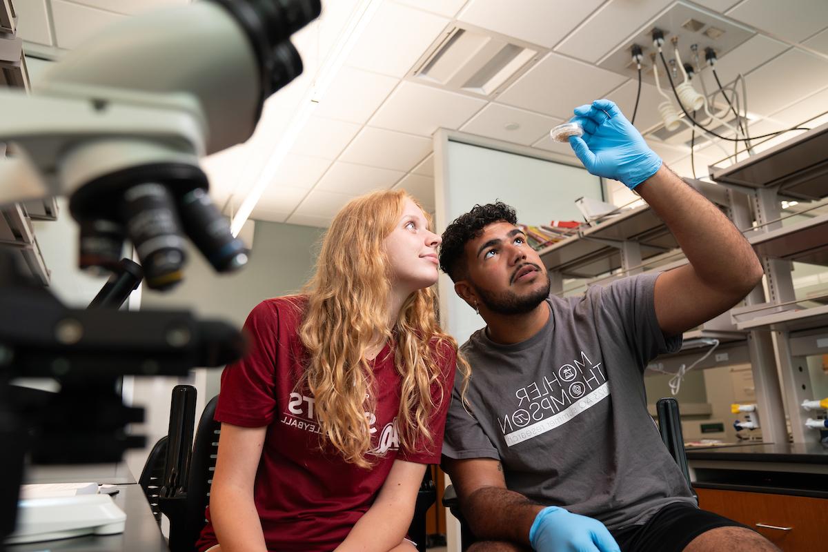 Ernesto Lopez and Alyssa Detweiler hold up and look at a small dish in the lab